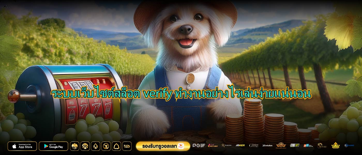ระบบเว็บไซต์สล็อตverifyทำงานอย่างไรเล่นง่ายแน่นอน